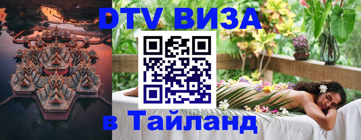 Оформление DTV визы под ключ: стоимость и тарифы, только загранпаспорт - Мытищи  19.11.2025 